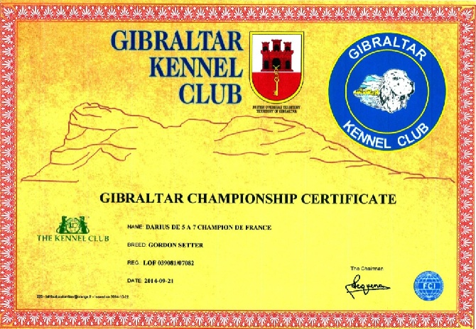 de cinq a sept - Champion de Gibraltar !