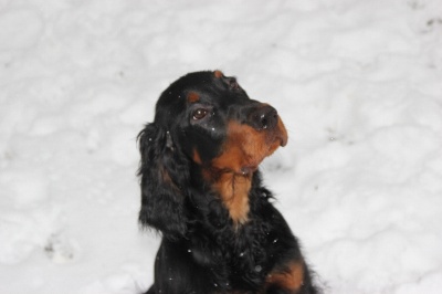 de cinq a sept - Henriette sous la neige ...