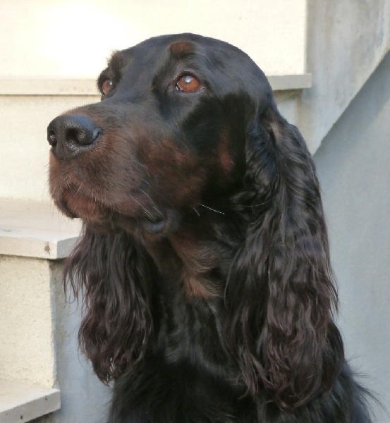 CH. Diva de cinq a sept