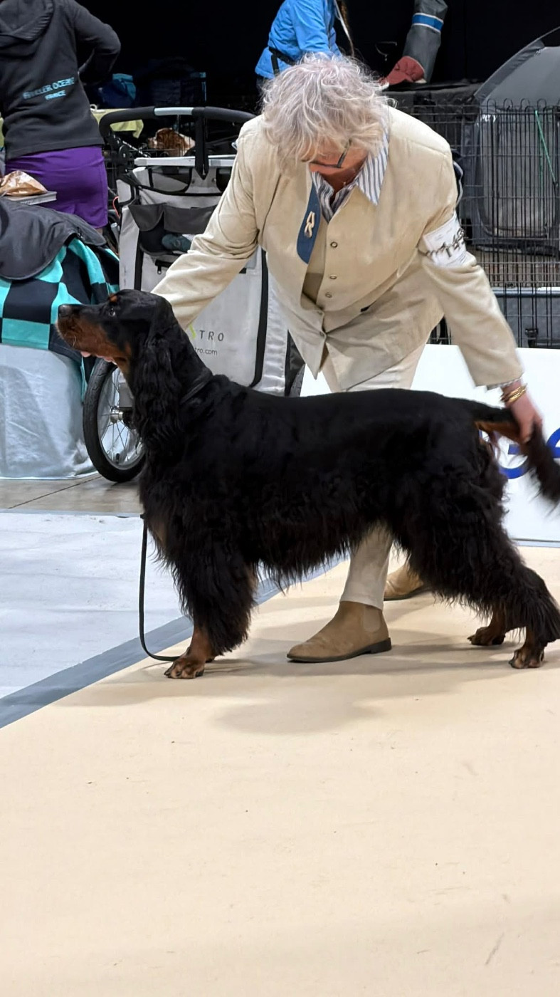 de cinq a sept - Nouvelle championne !